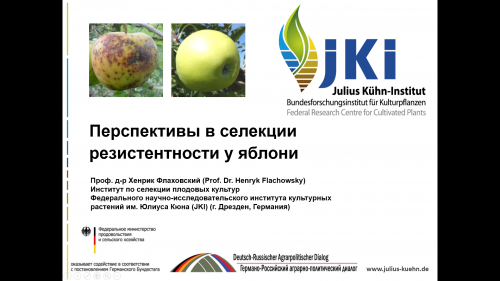 Michurinsk SAU international partners at the National Scientific Horticultural Conference dedicated to the intensive orchard development