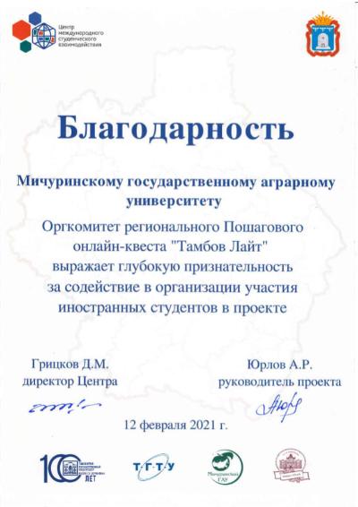 Participation of international students in the online quest "Tambov Light»